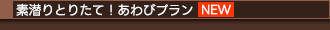 素潜りとりたて！あわびプラン